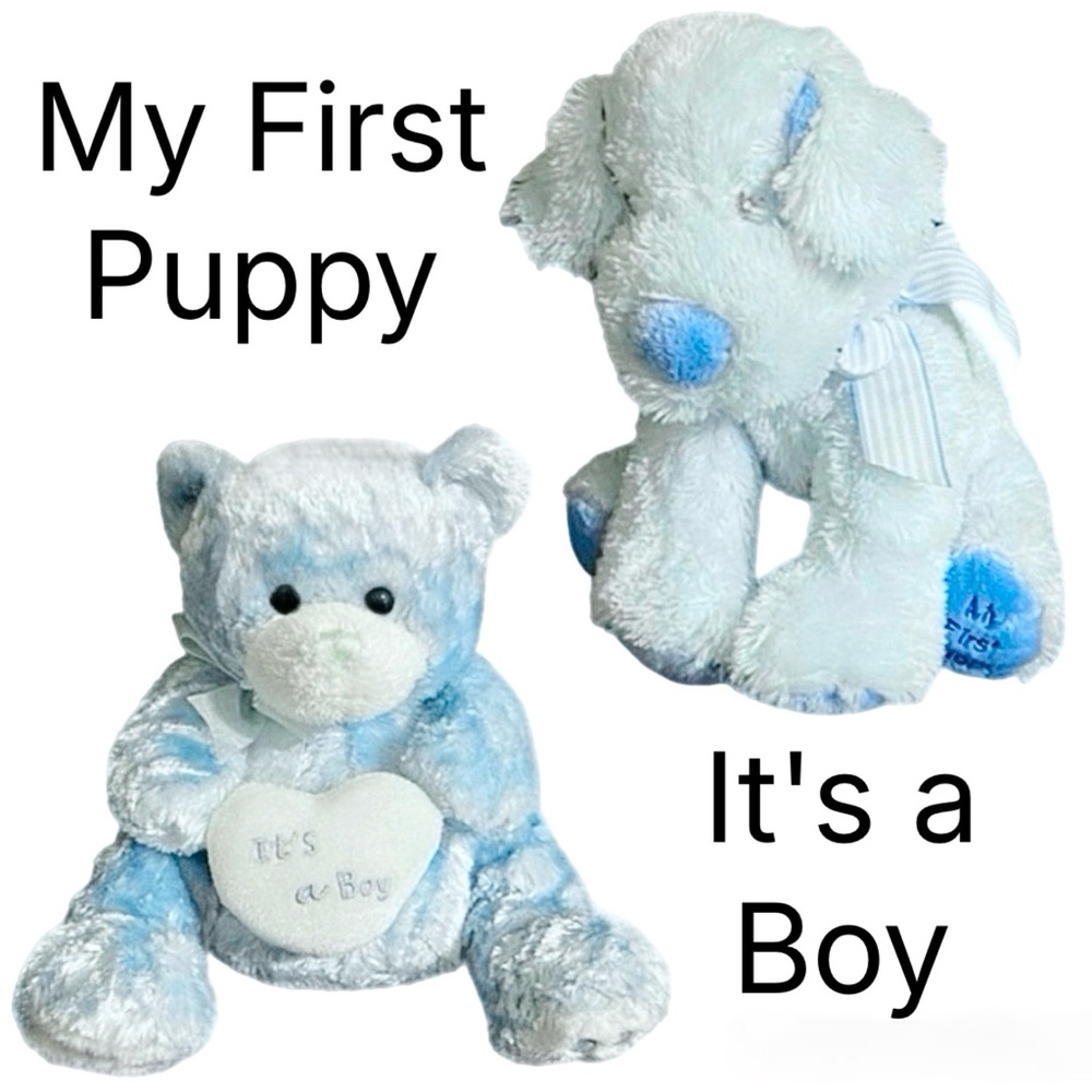 It’s a Boy Bear & My First Puppy